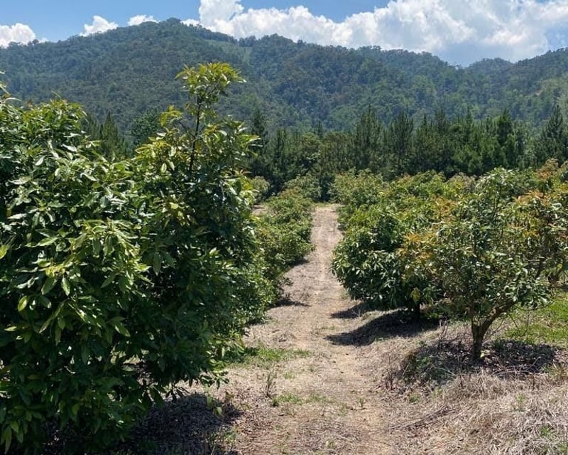 Finca en Venta en La Unión Barrios Km. 152, Baja Verapaz