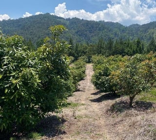 Finca en Venta en La Unión Barrios Km. 152, Baja Verapaz