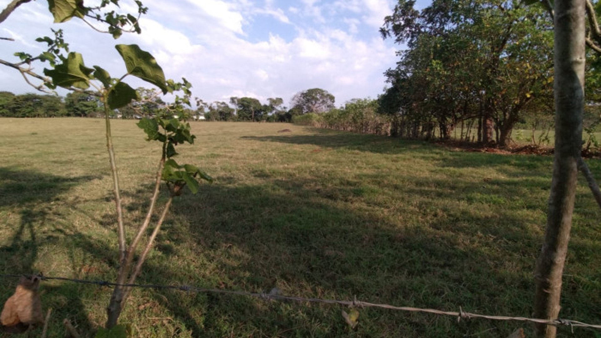 Terreno en alquiler KM 235 Aldea Las Palmas Coatepeque - Miniatura 8