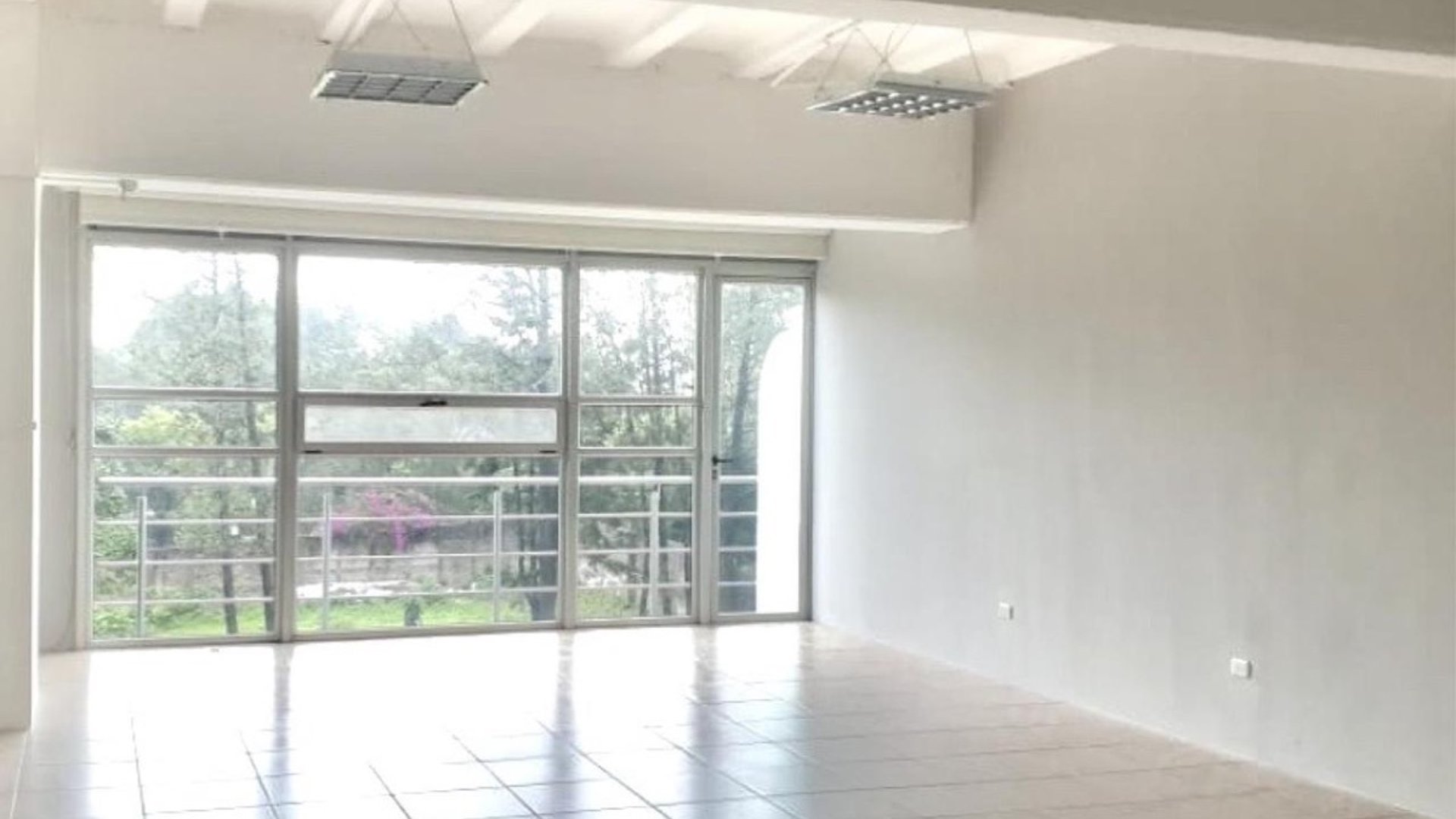 Oficina en renta ediicio Scena, CES