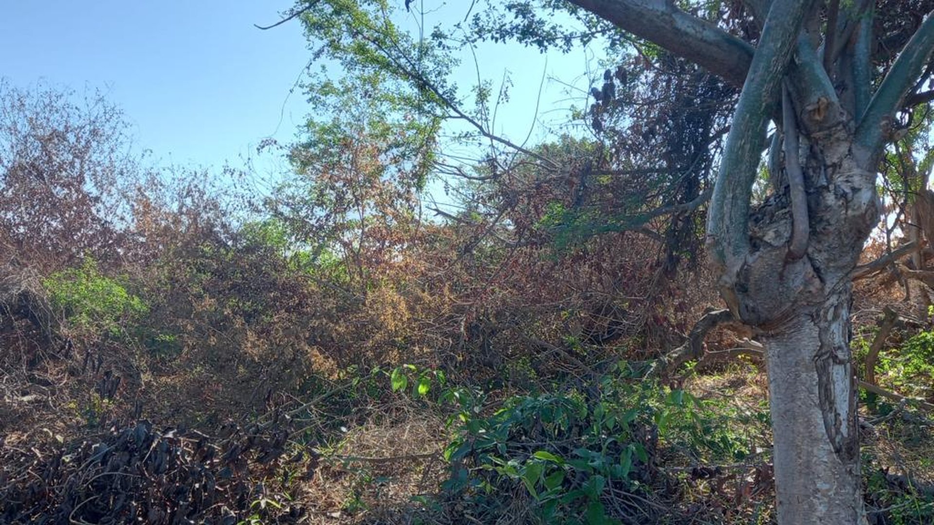 Terreno en venta camino a Monterrico - Miniatura 5