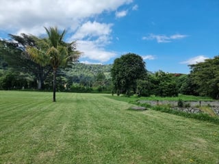 TERRENO EN VENTA – AMATITLÁN 📍 Circunvalación del Lago | Frente a asfalto - 5
