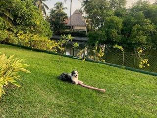 Casa de Playa en venta Puerto San Jose - Image 10