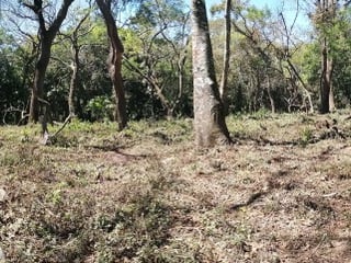 Terreno en venta dentro Residencial Premier Campestre. - 4