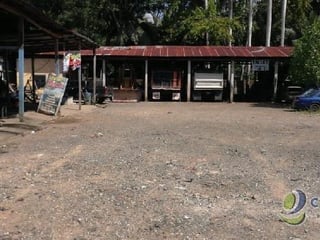 Terreno en renta a orilla de carretera en Río Dulce - 3
