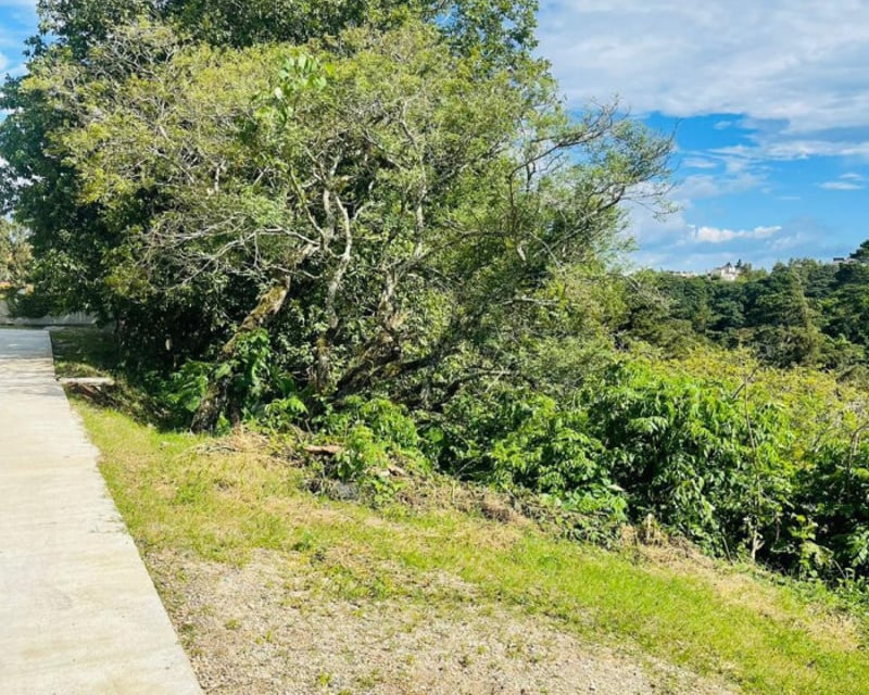 Terreno en Venta en Sausalito, Fraijanes.