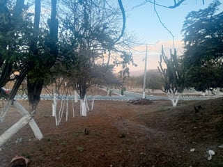Terreno en Venta / Prados de Usumatlán, Zacapa - 4