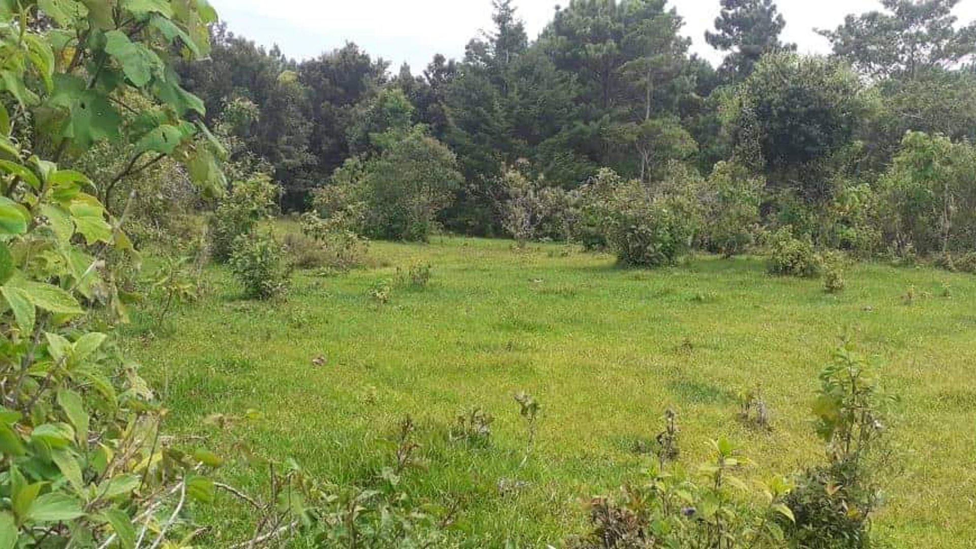 Finca de 113 Manzanas en venta Autopista Puerto Quetzal - Miniatura 8