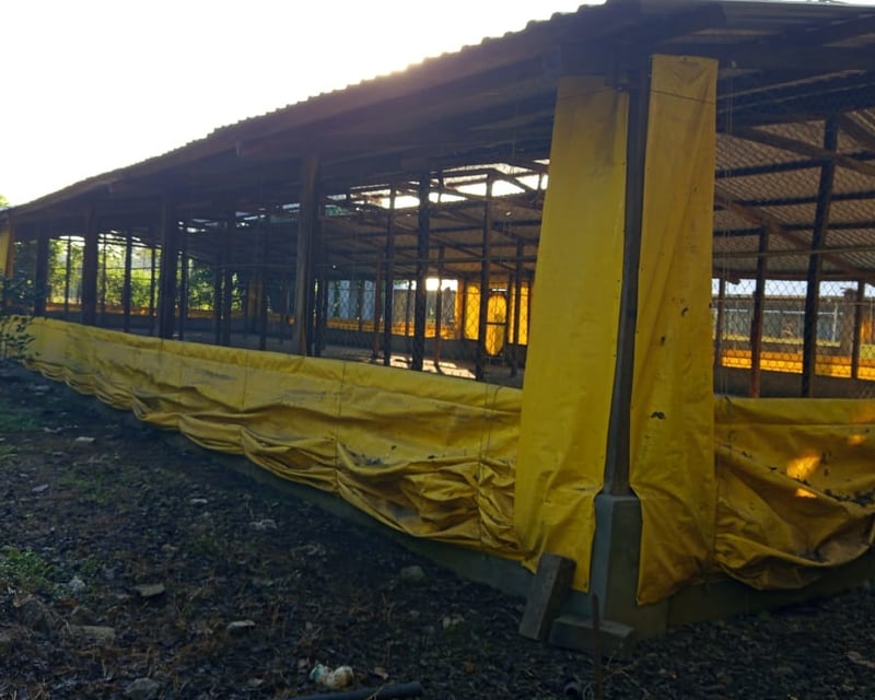 Terreno en Venta Km. 81 Masagua, antigua carretera a Puerto Quetzal