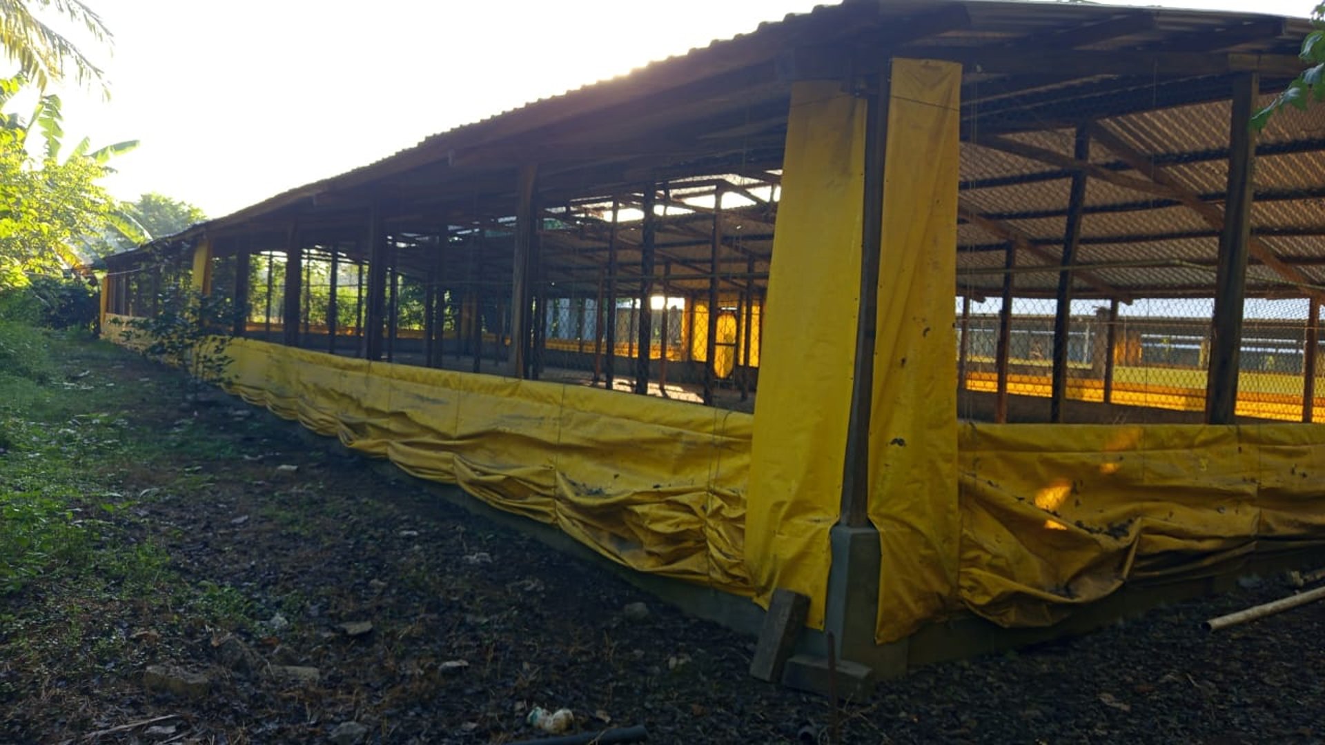 Terreno en Venta Km. 81 Masagua, antigua carretera a Puerto Quetzal