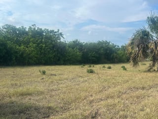 Terreno Comercial frente a carretera a Monterrico - 4