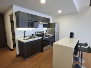 Apartamento tipo estudio en alquiler en Zona 10 Guatema - 3