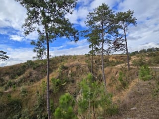 Terreno en Venta San Pedro Sacatepéquez, Guatemala - 3