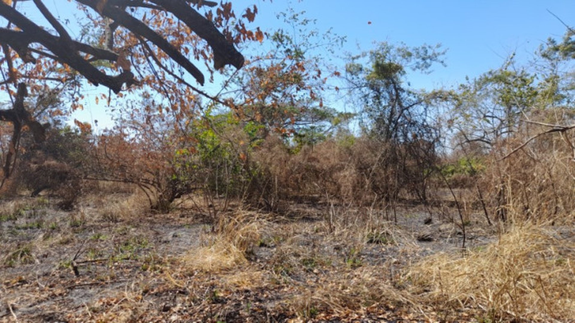 Terreno en Venta Quintas Malibú, Escuintla, Guatemala