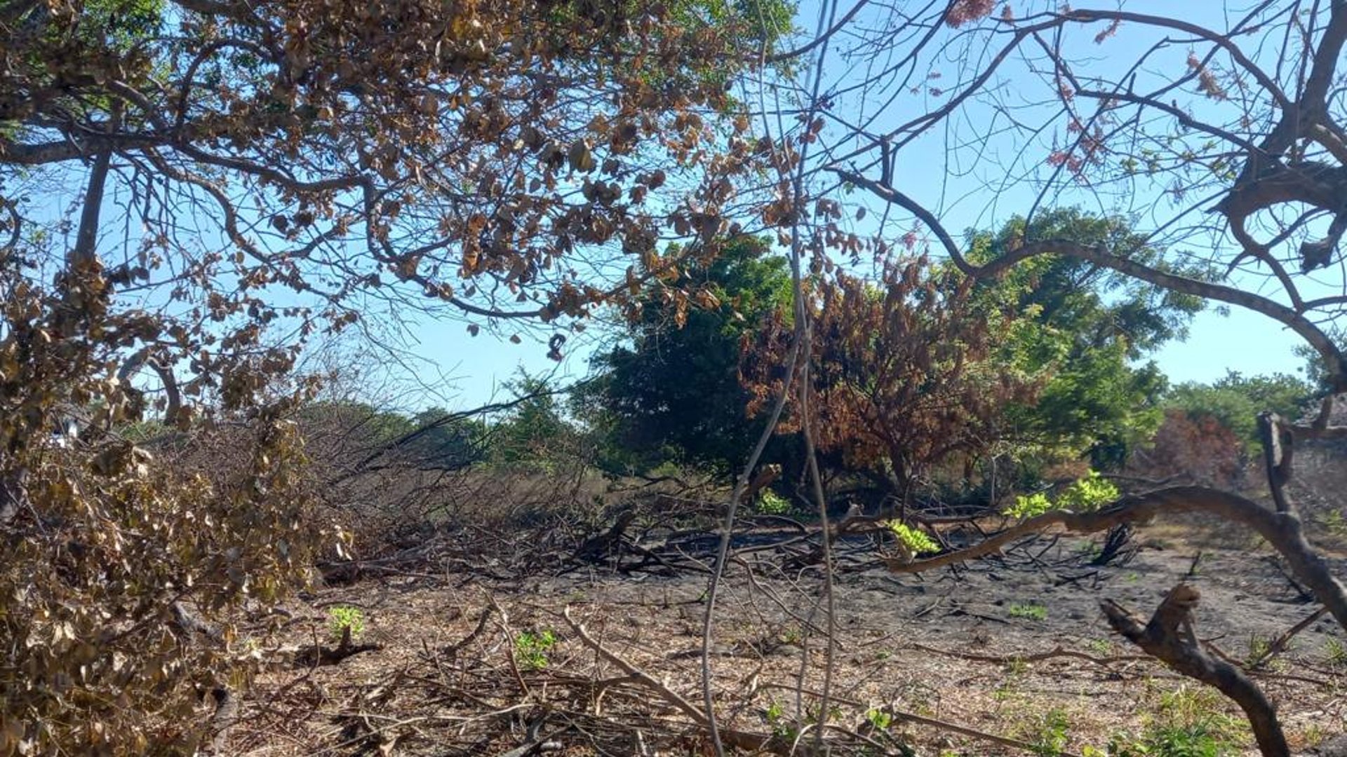 Terreno en venta camino a Monterrico - Miniatura 8