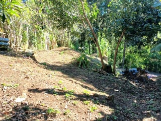 VENTA DE TERRENO EN LO DE DIEGUEZ - 4