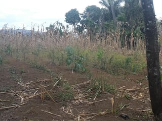 Terreno en venta, Amatitlán  - 4