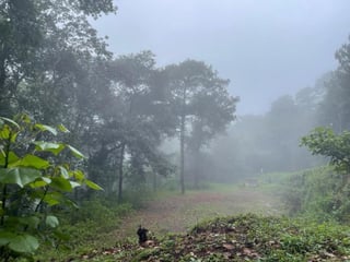 Venta de amplio terreno en Choacorral, San Lucas  Sac! - Image 4