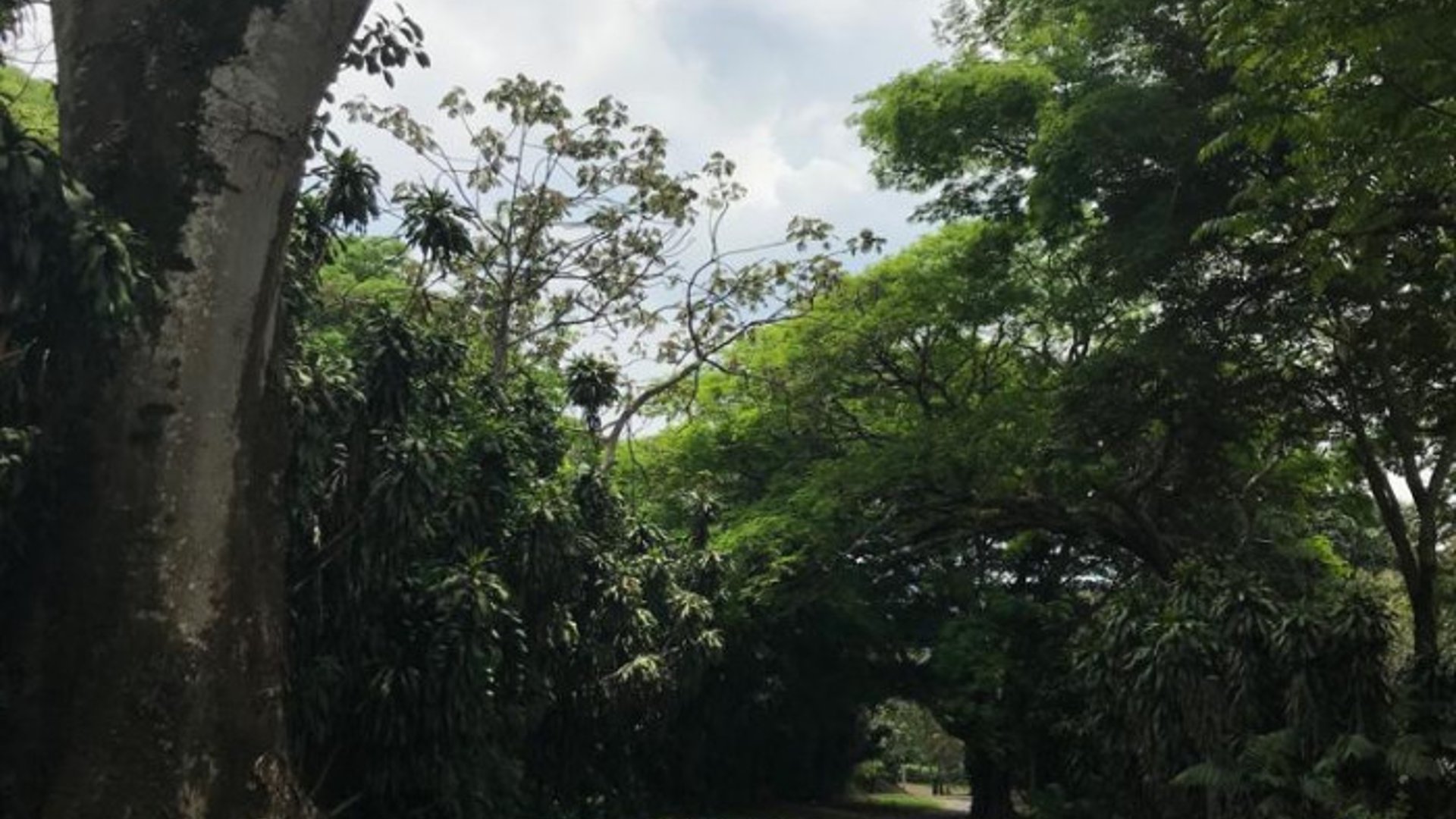 TERRENO EN VENTA CAMPO AVENTURA PALIN ESCUINTLA - Miniatura 4