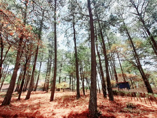 Terreno en Venta en Santo Domingo Xenacoj Sacatepequez - 4