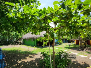 En Venta Hotel en El Paredón Sipacate - 4