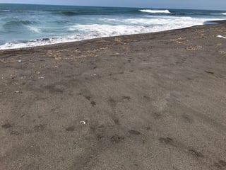 VENDO TERRENO VACACIONAL EN PLAYA RAMA BLANCA SIPACATE - Image 3