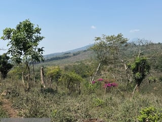 Ideal DESARROLLO/ Terreno en Venta Km 25.5 CES - 4