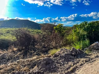 Finca en Venta en Sanarate Carretera al Atlántico - 2