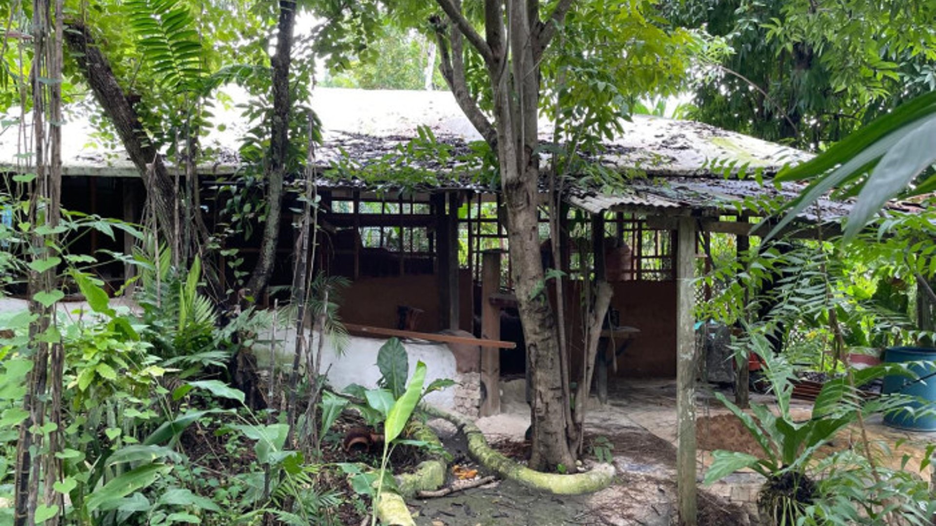 Terreno en Venta El Remate Flores Peten - Miniatura 6