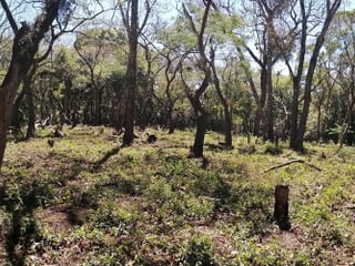 Terreno en venta dentro Residencial Premier Campestre. - 3