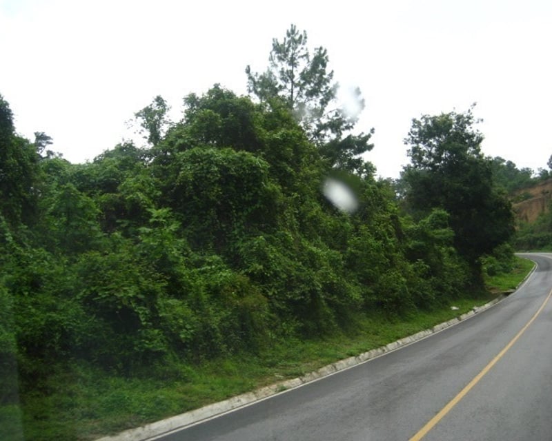VENTA EXCELENTE FINCA CARRETERA A SANTA ROSA