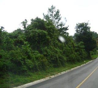 VENTA EXCELENTE FINCA CARRETERA A SANTA ROSA