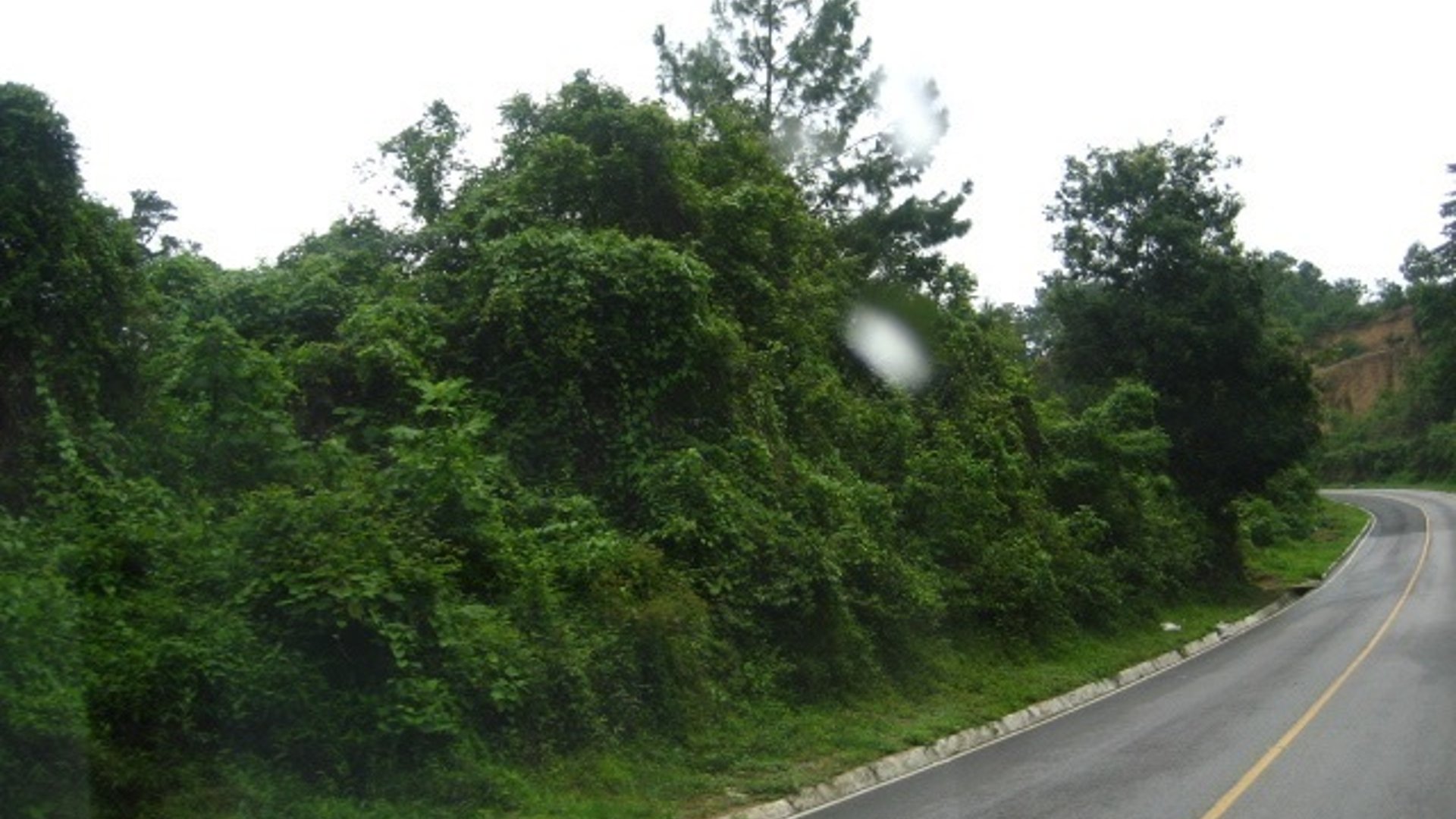 VENTA EXCELENTE FINCA CARRETERA A SANTA ROSA