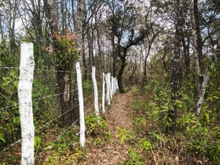 Terreno en venta, El Encinal  - 5