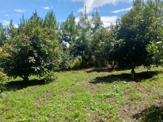 Terreno Comercial y Residencial en Venta Santiago Sac. - 4