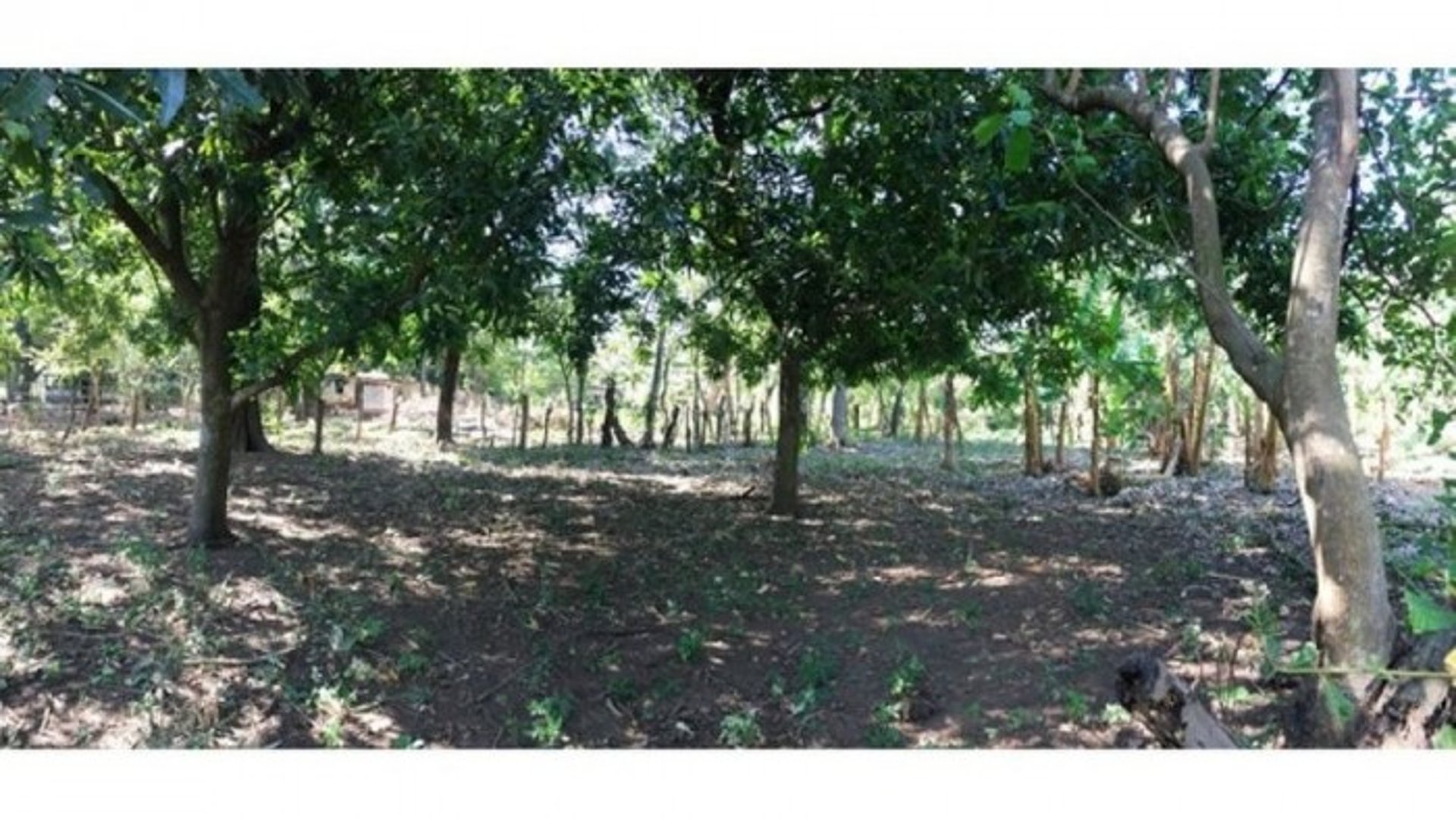 Finca en Venta en  Guanagazapa Escuintla - Miniatura 3