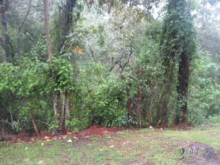 TERRENO EN CONDOMINIO DE SAN JUAN SACATEPÉQUEZ - 2