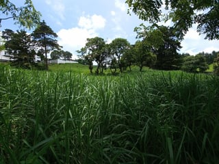 Terreno Residencial en Condado Javier km 16.5 CAES - Image 4