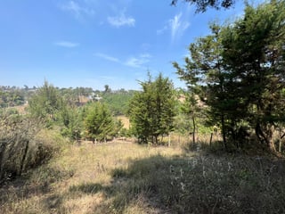 Terreno en venta, en Sumpango - 4