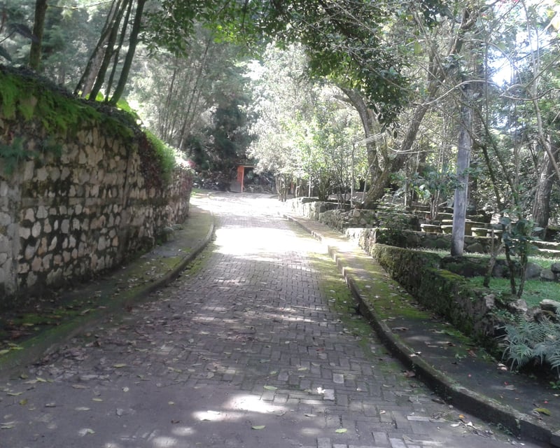 En venta terreno en zona 15 Colonia Trinidad