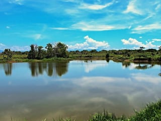 Terreno en Venta Km. 117 Carretera a Taxisco, Lagunas - 2