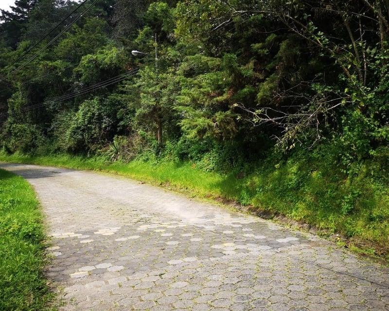 El Encinal/Terreno en venta