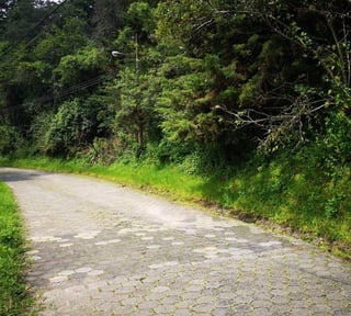 El Encinal/Terreno en venta