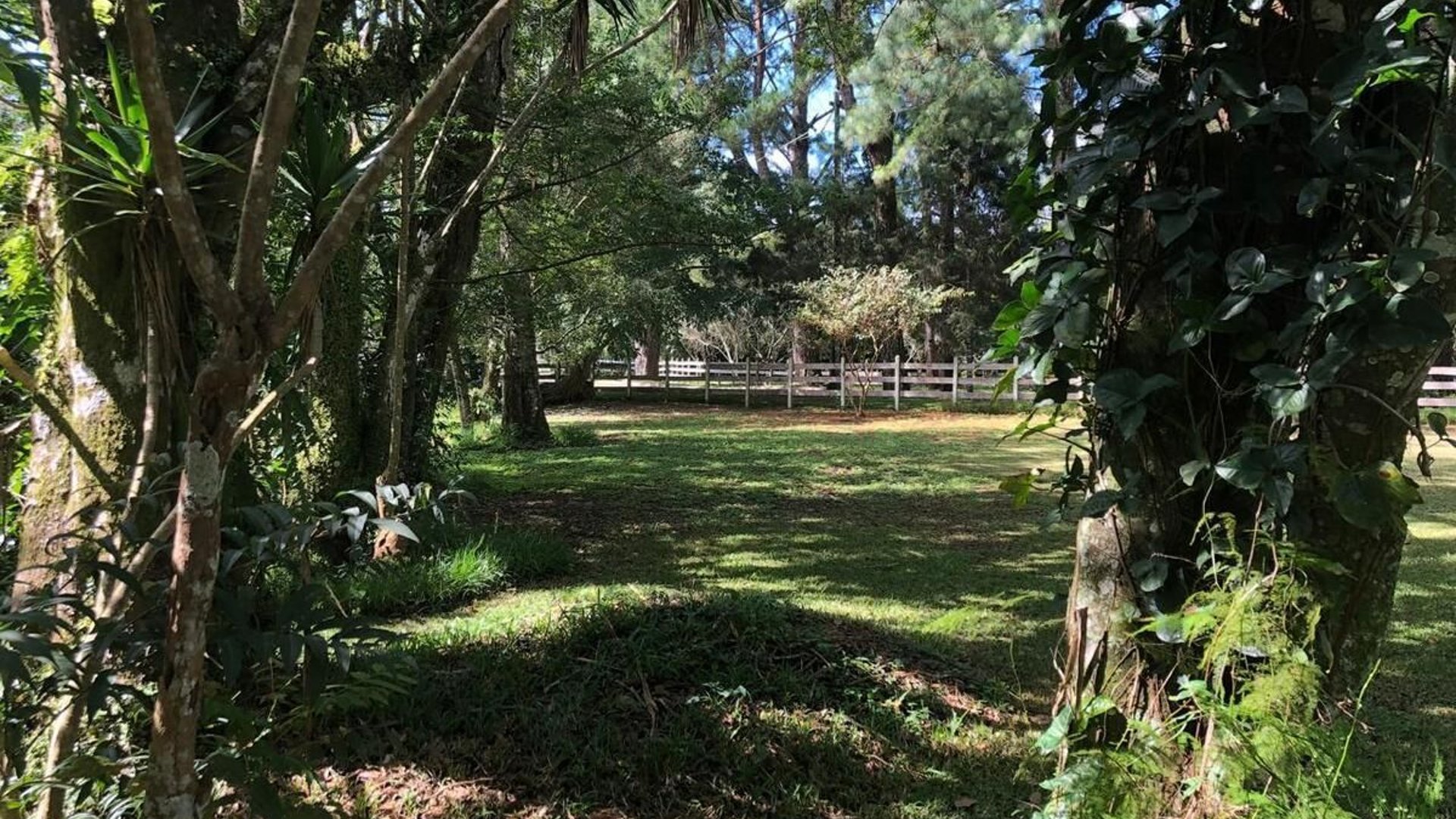 Terreno en VENTA en Santa Elena del Lago - Miniatura 7