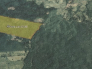 VENTA DE FINCA 2 CABALLERÍAS CON PLANTACIÓN DE HULE - IZABAL - 3