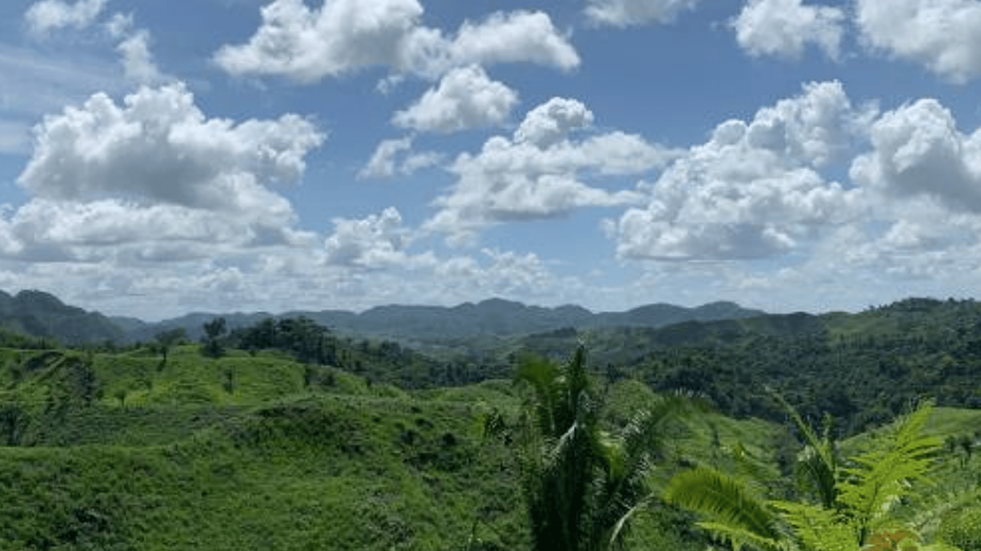 Finca en VENTA en  Municipio Nuevo Chahal, Alta Verapaz - Miniatura 13