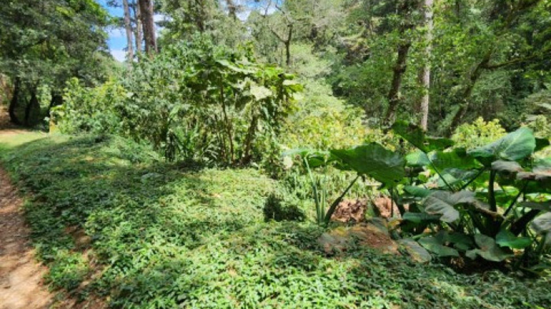 Terreno en Venta Santiago Sacatepéquez, Jardin El Alto - Miniatura 6