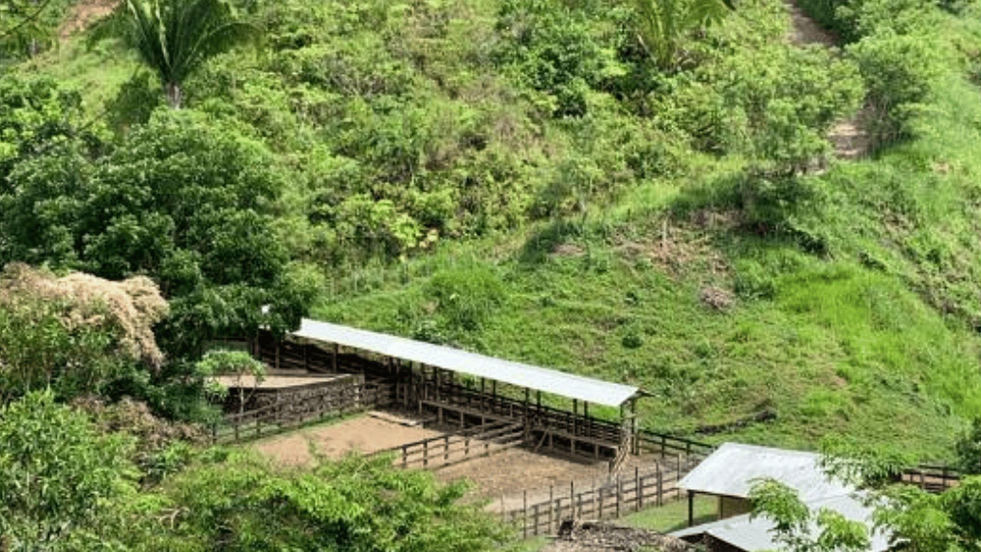 Finca en VENTA en Municipio Nuevo Chahal, Alta Verapaz - Miniatura 9