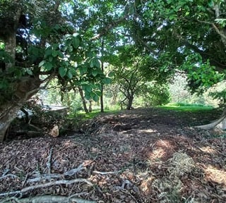Terreno en venta, en San José Pinula