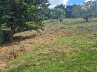 Terrenos en Venta – Las Alturas 2, Carretera a El Salvador Km 18.5 - 4